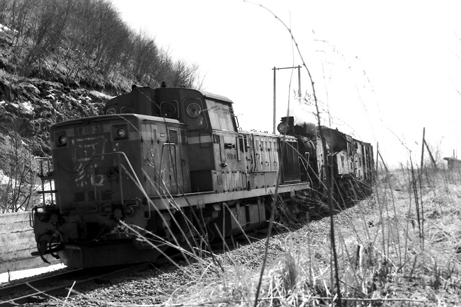 DE10+C11貨物列車